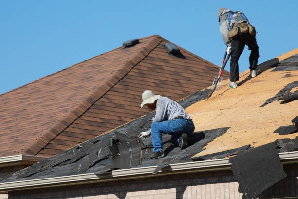 Best Roof Moss and Algae Removal  in Margate, FL